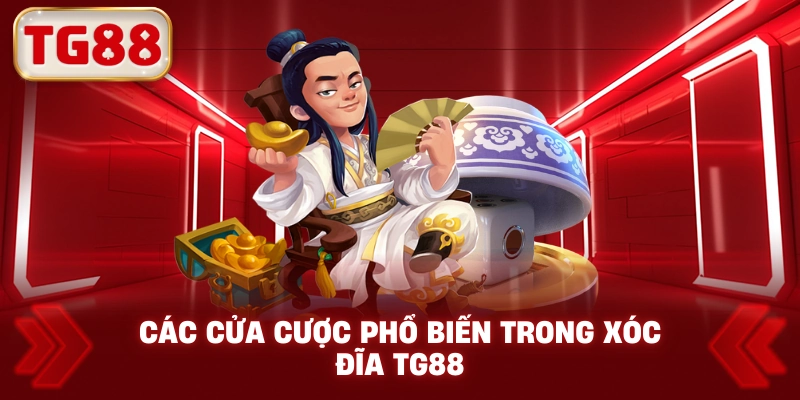 Các Cửa Cược Phổ Biến Trong Xóc Đĩa TG88
