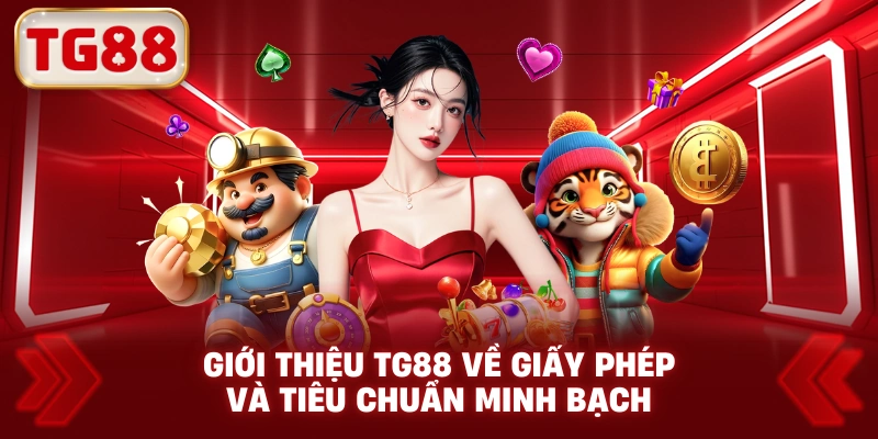Giới Thiệu TG88 Về Giấy Phép Và Tiêu Chuẩn Minh Bạch