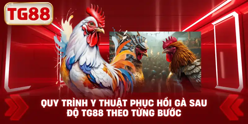 Quy Trình Y Thuật Phục Hồi Gà Sau Độ TG88 Theo Từng Bước