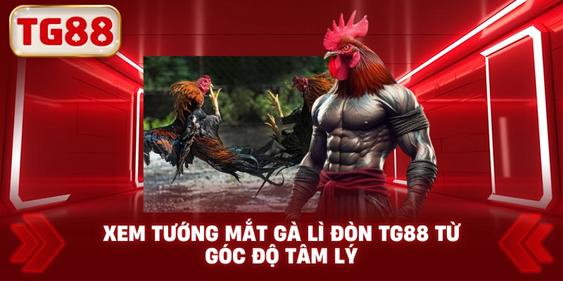 Xem Tướng Mắt Gà Lì Đòn TG88 Từ Góc Độ Tâm Lý