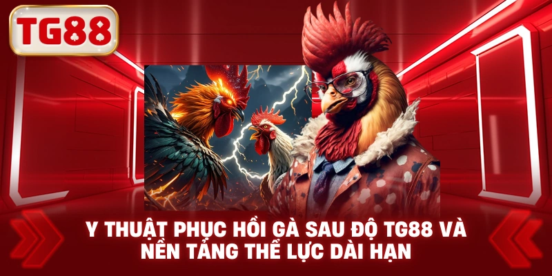 Y Thuật Phục Hồi Gà Sau Độ TG88 Và Nền Tảng Thể Lực Dài Hạn